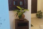 River View Guesthouse and Hostel - Image 7