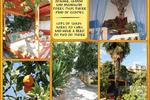 Hostel Albania - Image 5