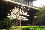 Chengdu Sam's Hostel and Guesthouse - Image 5