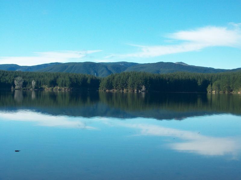 Lake Maraetai Lodge: Image # 2