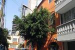 Hostal Victoria DF - Image 4