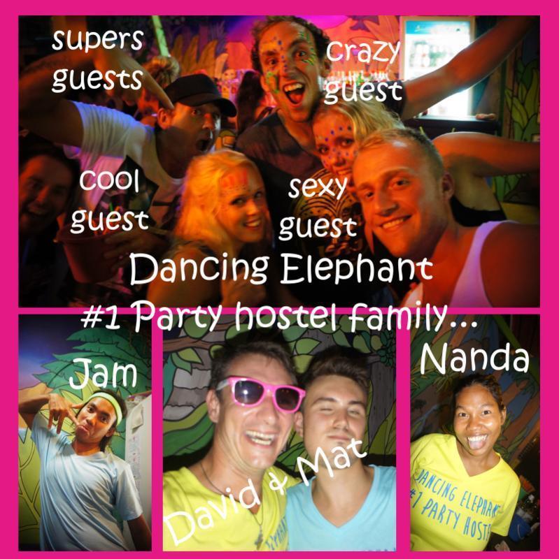 Dancing Elephant Hostel  2