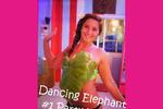 Dancing Elephant Hostel - Image 6