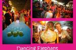 Dancing Elephant Hostel - Image 7