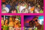 Dancing Elephant Hostel - Image 8