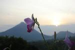 Essence Arenal Boutique Hostel - Image 10