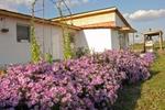 Slanchevo Guesthouse - Image 4