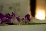 My City Hotel - Image 6