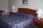 AAE Banfield Portland - Image 2