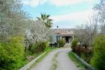 Country Garden