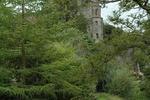 Lanesville Bed and Breakfast - Image 5