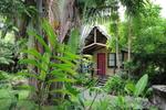 Airlie Beach Magnums - Image 4