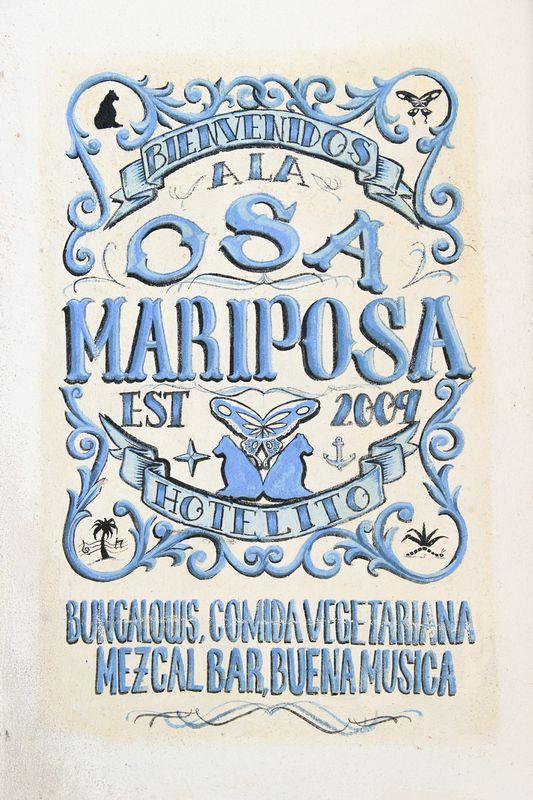 Osa Mariposa  0