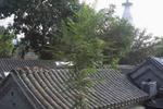 Templeside Lianlian Hutong Guest House - Image 3