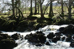 Finn Farm Hostel - Image 2