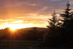Finn Farm Hostel - Image 8