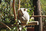 Photos of Halse Lodge Guest House