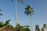 Photos of Hutcha Resort