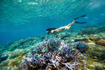 Mantaray Island Resort - Image 4