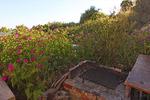 Photos of Tudor House Hvar