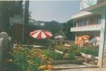 New Pokhara Lodge - Image 5