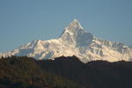 New Pokhara Lodge - Image 8