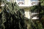Cannes Garden Hotel - Image 2