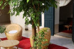 Photos of Riad Sara