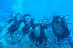 Beachouse Hostel Cozumel - Image 4