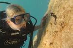 Beachouse Hostel Cozumel - Image 9