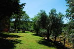 B&B Le Querciole - Image 4