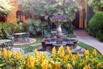 Hotel Casa Antigua - Image 5