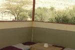 Negev Camel Ranch - Image 1