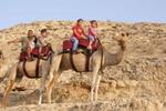 Negev Camel Ranch - Image 4