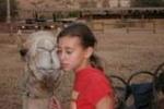 Negev Camel Ranch - Image 5