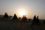 Negev Camel Ranch - Image 6