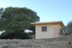 Negev Camel Ranch - Image 8