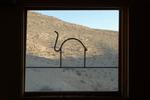 Negev Camel Ranch - Image 10