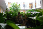Hotel Mary Carmen - Image 3