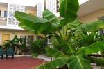 Hotel Mary Carmen - Image 8