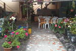 Los Pinguinos - Image 3