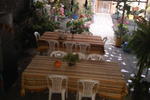 Los Pinguinos - Image 4