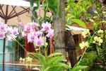 Jasmine Family Hostel - Image 9