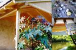 Photos of Biosphere Reserve