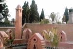 Riad Sidi Omar