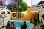 Black Cat Hostel - Image 4