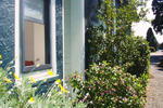 Big Tree Lodge Methven - Image 5