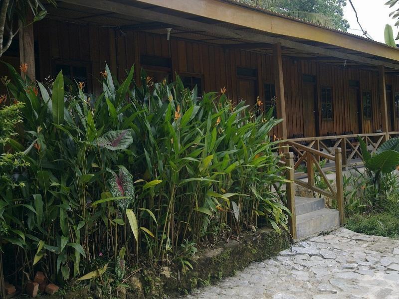 Ue Datu Lodge and Cottages  0