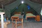 Photos of Enchoro Wildlife Camp