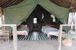 Photos of Enchoro Wildlife Camp